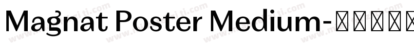 Magnat Poster Medium字体转换
